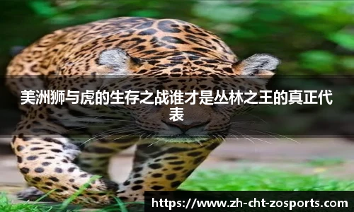美洲狮与虎的生存之战谁才是丛林之王的真正代表
